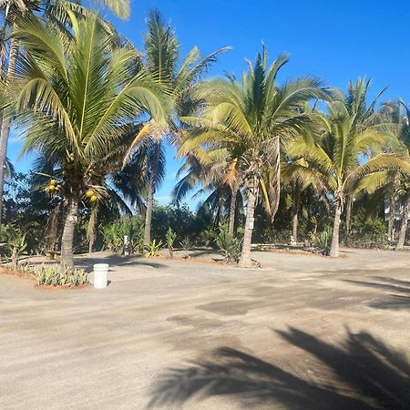 Bungalows Laguna Del Tule San Patricio Melaque Exteriör bild